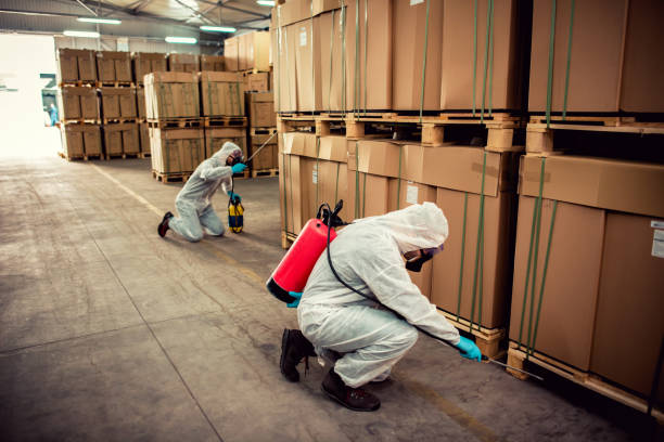 Best Best Pest Control Near Me  in Morse, LA