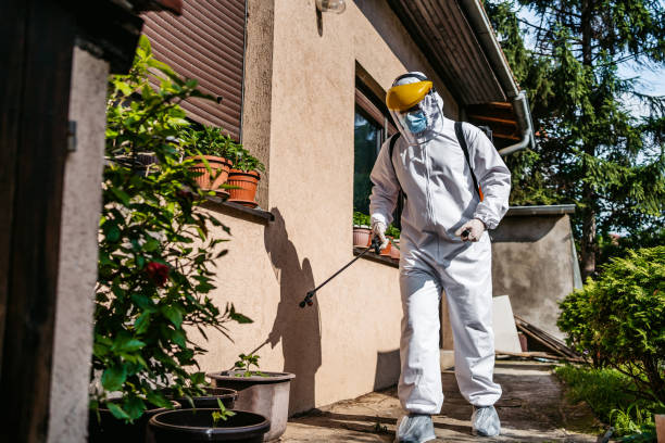 Best Rodent Control Near Me  in Morse, LA