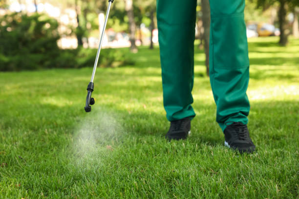 Best Best Pest Control Companies  in Morse, LA