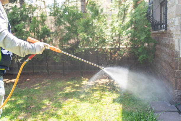 Best Affordable Pest Control Services  in Morse, LA