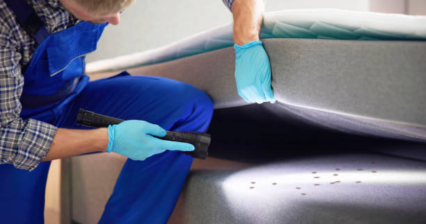 Best Pest Removal Services  in Morse, LA