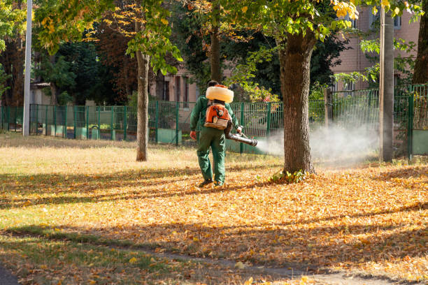 Best Wasp Removal Services  in Morse, LA