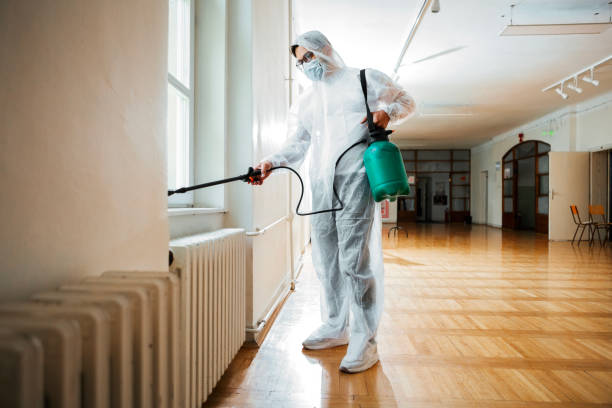 Best Rat Extermination Near Me  in Morse, LA