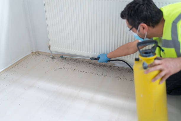 Best Termite Control Services  in Morse, LA
