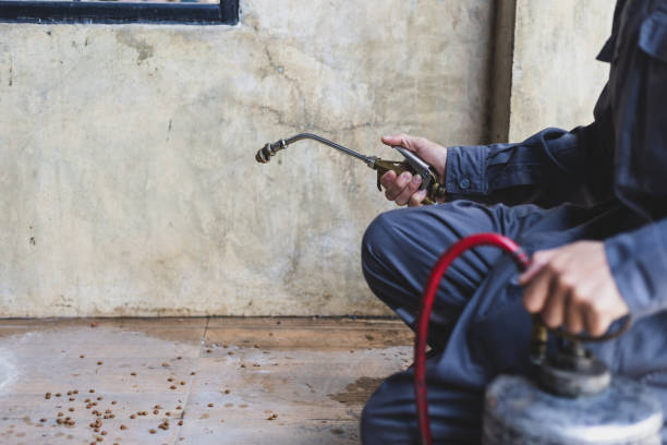 Professional Pest Control in Morse, LA