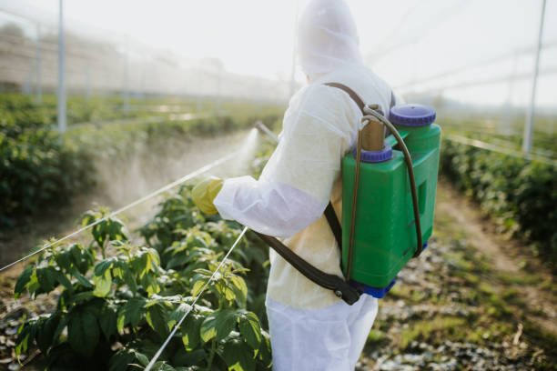  Morse, LA Pest Control Pros